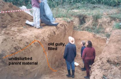 Excavating the Kinderveld gully, central Belgium