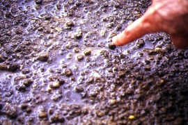 A microrill is born: a small headcut begins to incise. Flow is right to left