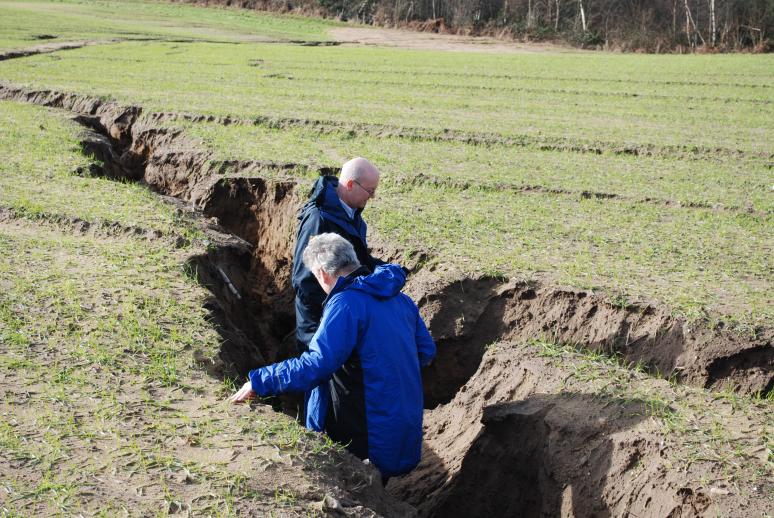 Looking for something? Photo: John Boardman